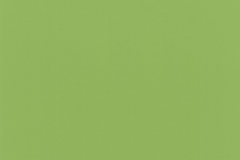 Limeade_SV7410_458