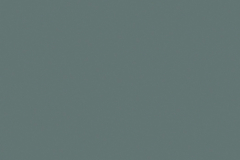 Moss-Gray_SG240_458