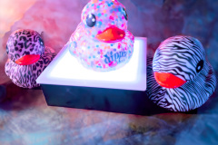 led_display_shelf_colorful_art_objects_acrylic