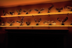 led wall shelf