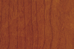 Blossom-Cherry_WC5581_458