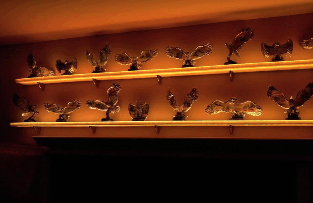 Lighted Acrylic Display Shelf
